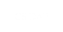 Goldman Sachs DAP