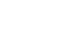 Wormhole Foundation logo